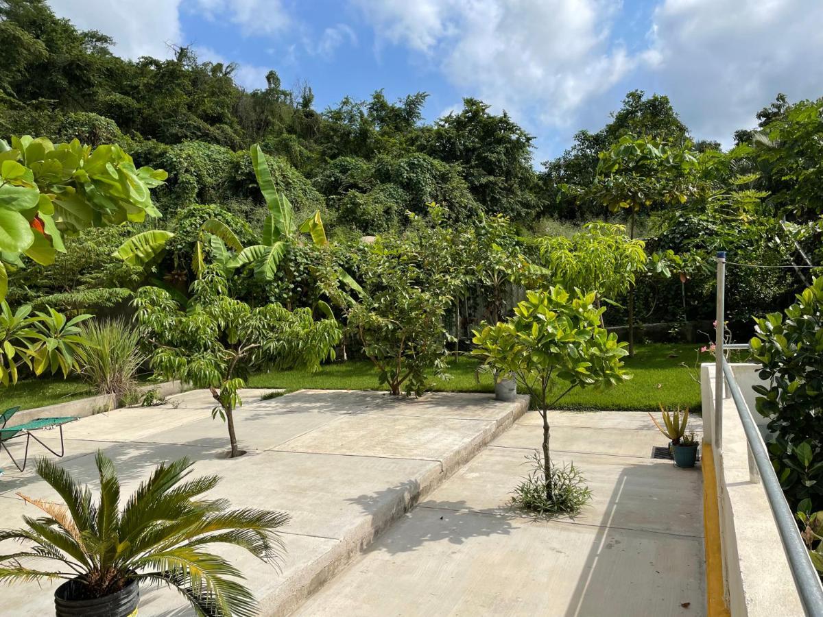 Amanecer Villa Sayulita Eksteriør billede
